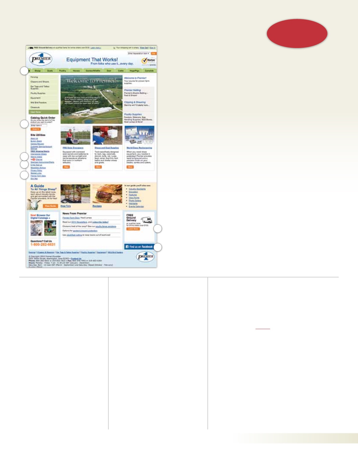 Page Background