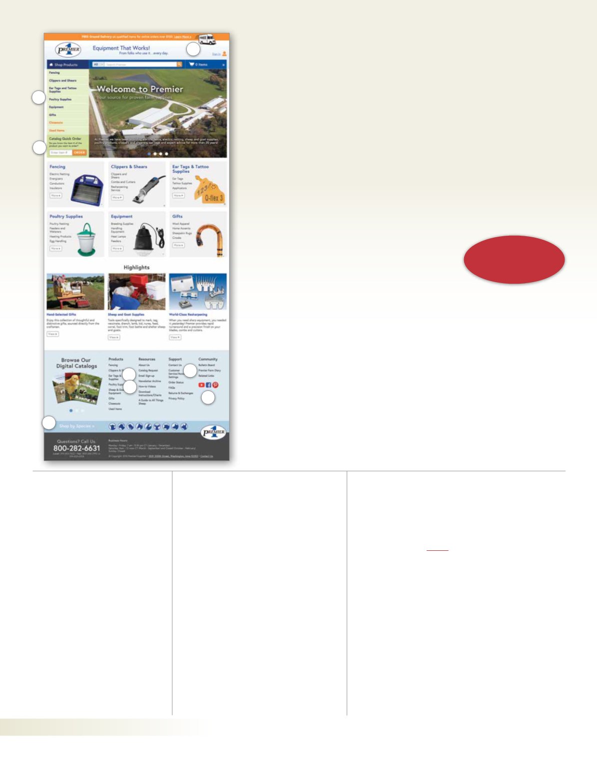 Page Background