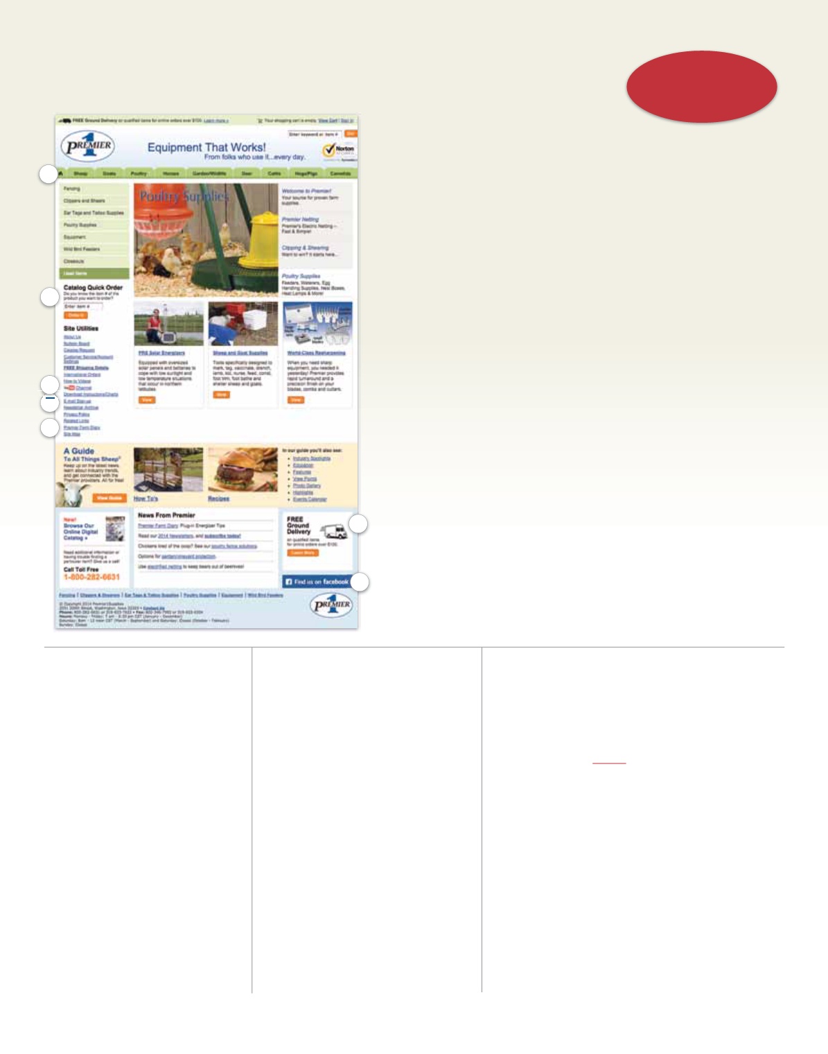 Page Background